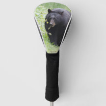 Golf head cover featuring Black bear