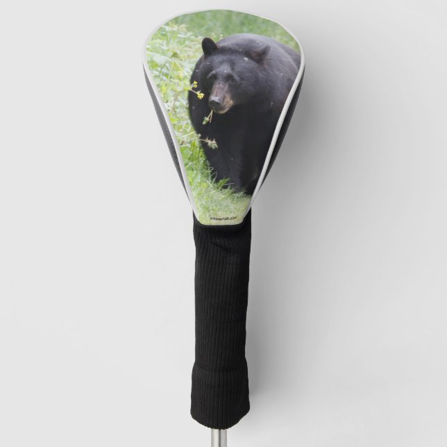 Golf head cover featuring Black bear (Front)