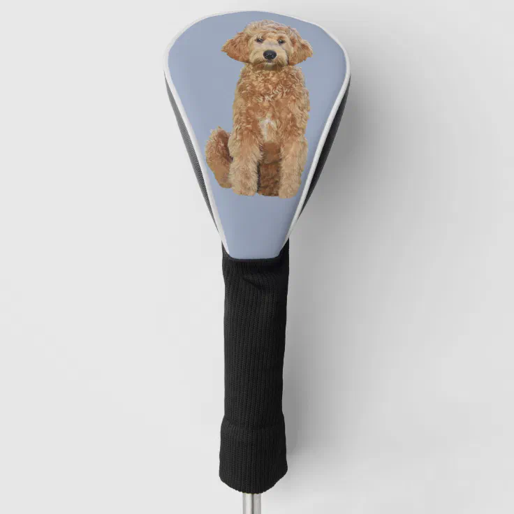 Golf Head Cover of golden doodle Zazzle