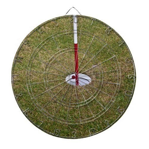 Golf hole dartboard