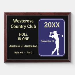 Golfer 🏌️Hole in One Award: Tournament Award Plaque