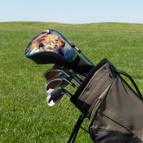 Golfers Gift Giraffe  Golf Head Cover