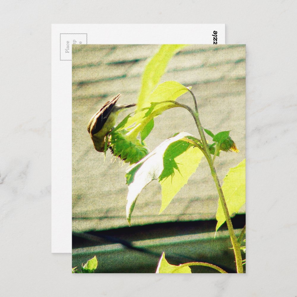 Thumbnail