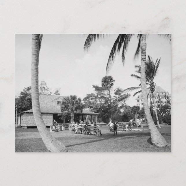 Golfing in Palm Beach, 1904 Postcard (Front)