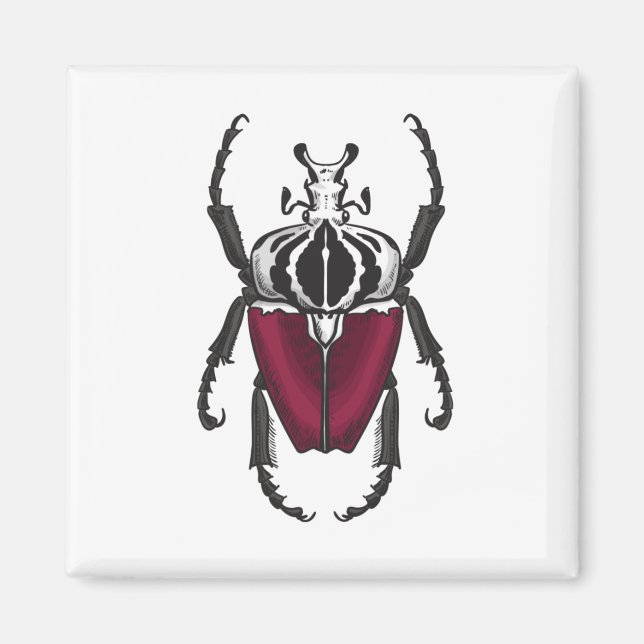 Goliath beetle magnet (Front)