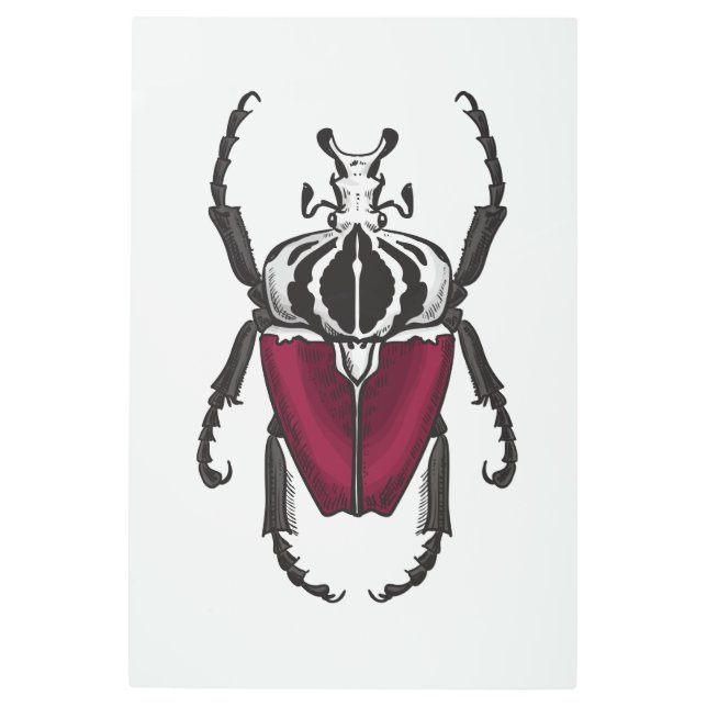 Goliath beetle metal print (Front)