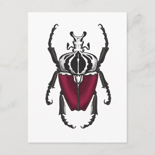 Goliath beetle postcard