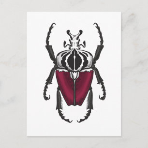 Goliath beetle postcard