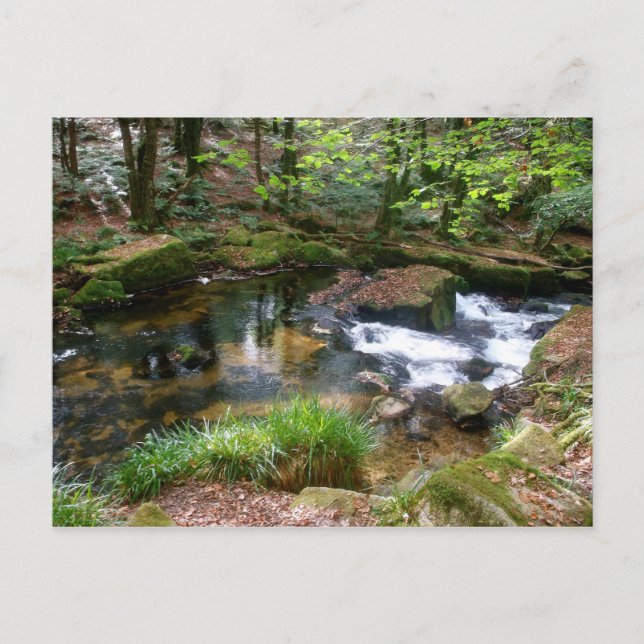 Golitha Falls River Fowey Cornwall England Postcard (Front)