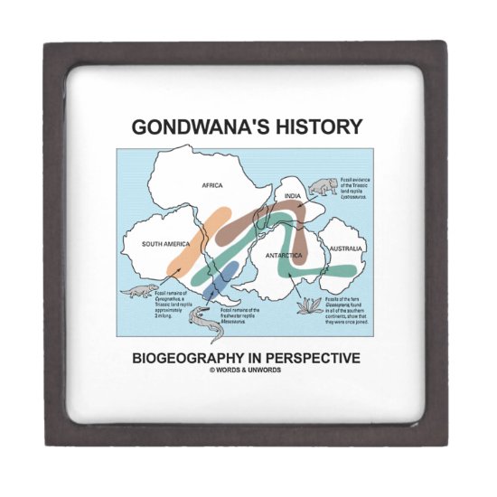 Gondwana's History Biogeography In Perspective Gift Box