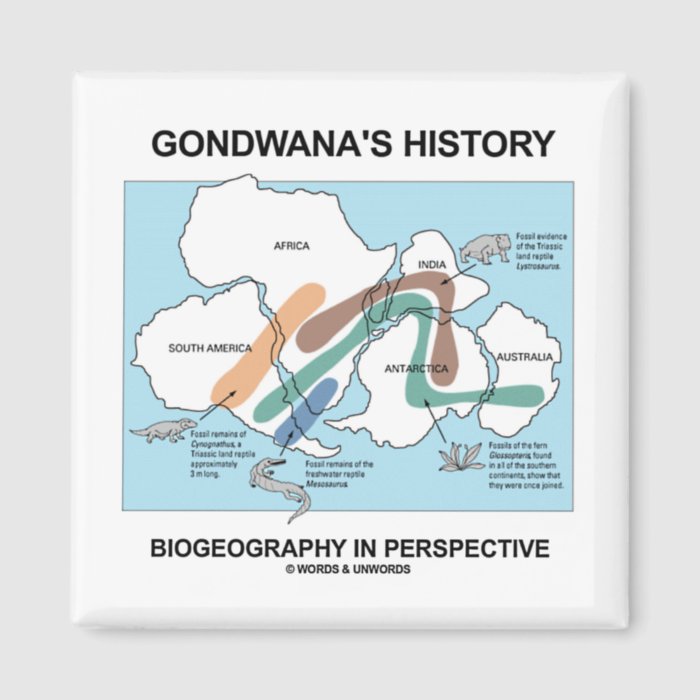 Gondwana's History Biogeography In Perspective Magnets