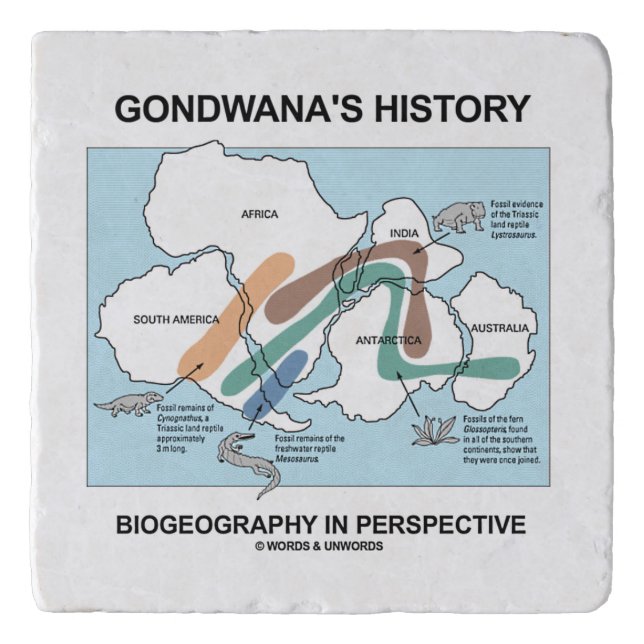 Gondwana's History Biogeography In Perspective Trivet (Front)