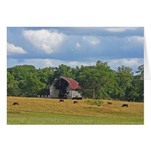 Gone but not Forgotten (Front Horizontal)