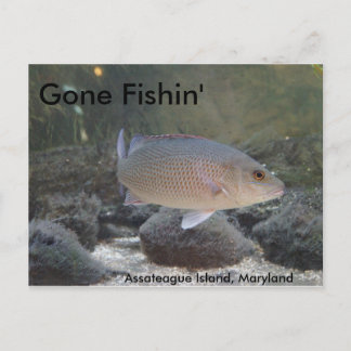 Gone Fishin' at Assateague Island, MD Postcard