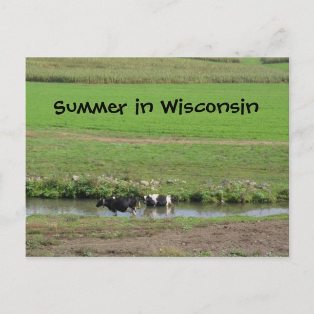 Gone Swimmin' Postcard (Front)