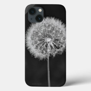 Gone to Seed iPhone 13 Case