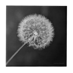 Gone to Seed Ceramic Tile