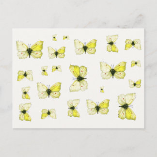 Gonepteryx rhamni - The Common Brimstone Butterfly Postcard