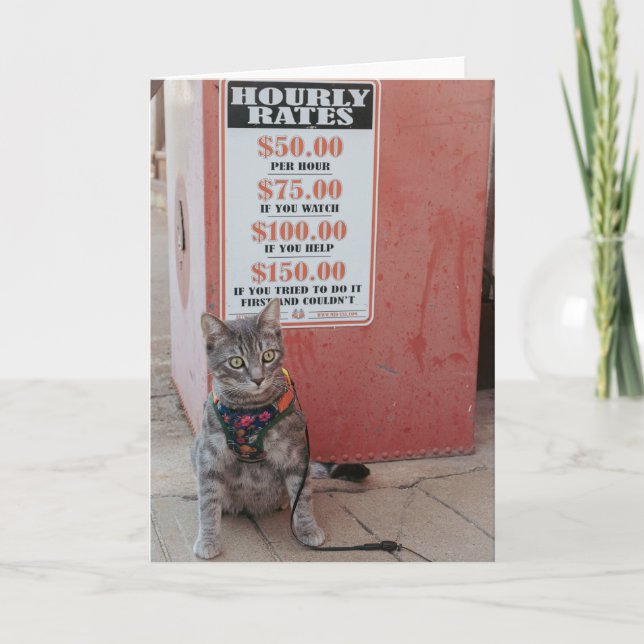 Gonna Cost You cat Notecard (Front)