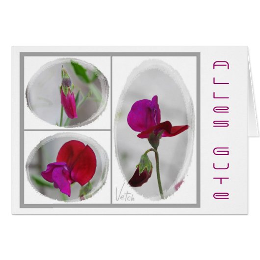 good (Front Horizontal)