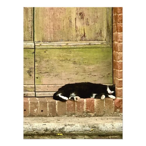 Good Afternoon for a Nap in Tuscany Photo Print