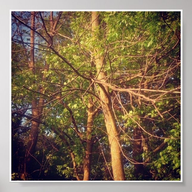 Good Afternoon Poster (Front)