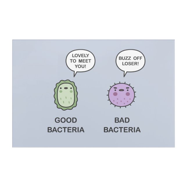 Good Bacteria, Bad Bacteria Acrylic Print (Front)