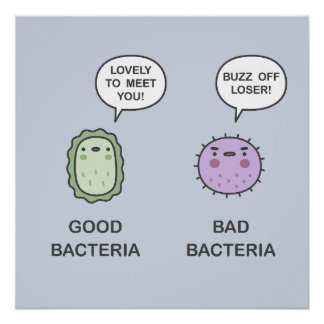Good Bacteria, Bad Bacteria Poster