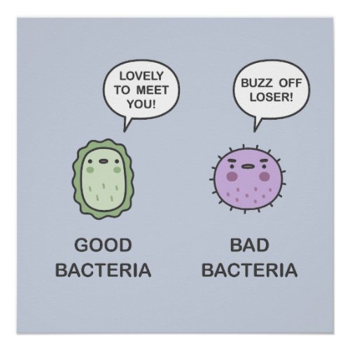 Good Bacteria Bad Bacteria Poster