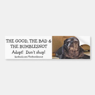Good, Bad, The Bumblesnot bumper sticker