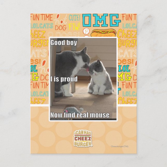 Good boy postcard (Front)