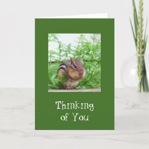 Good Day Wildlife Card
