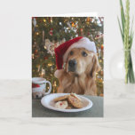 Good Dog! Holiday Card at Zazzle