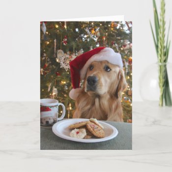 Good Dog! Holiday Card by MaddiMomentsbyMAR at Zazzle
