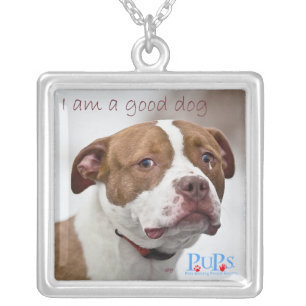 Good Dog Necklace from PUPs