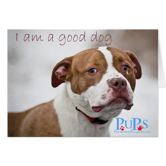Good Dog Pit Bull Rescue Cards (Front Horizontal)