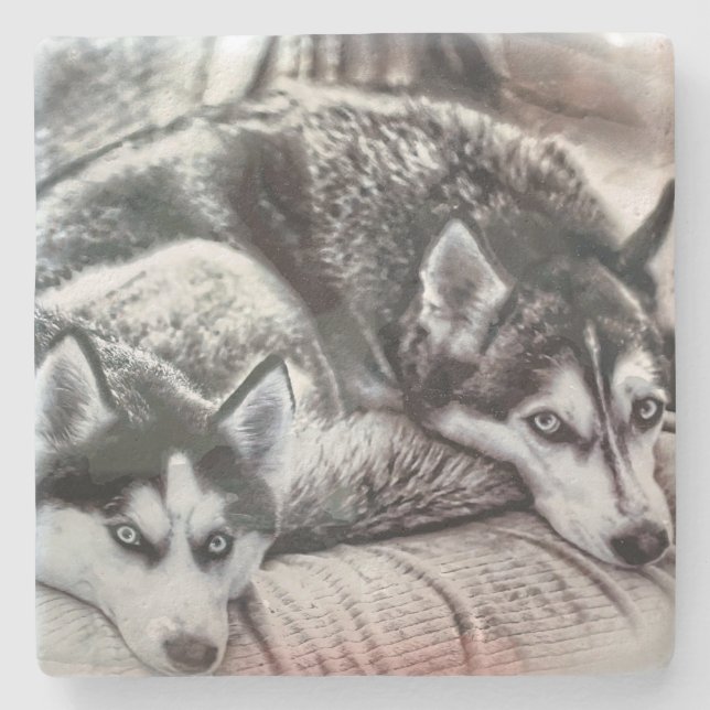 Good Dogs Stone Coaster (Front)