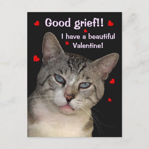 Good Grief Valentines Day Postcard