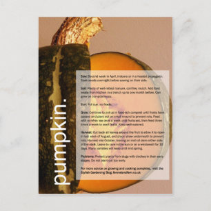 Good Growing Guide: Pumpkin & Chard Postcard