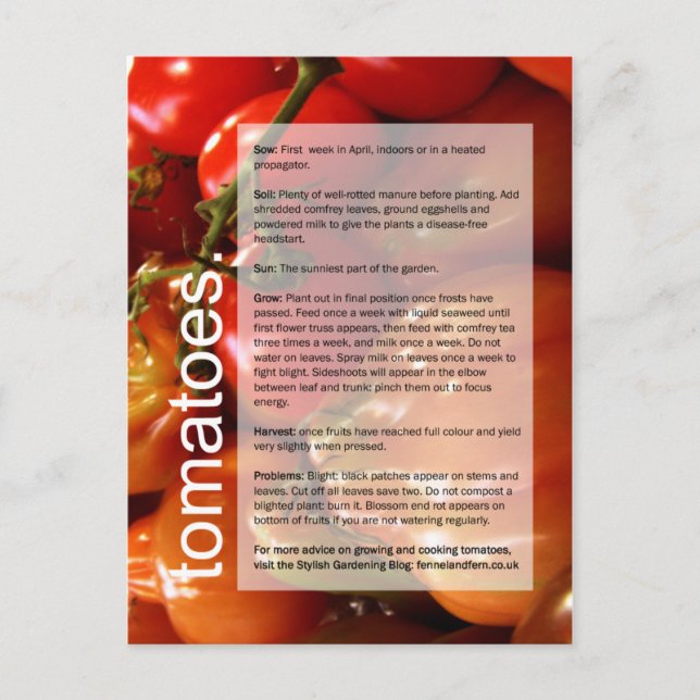 Good Growing Guide: Tomatoes & Garlic Postcard (Front)