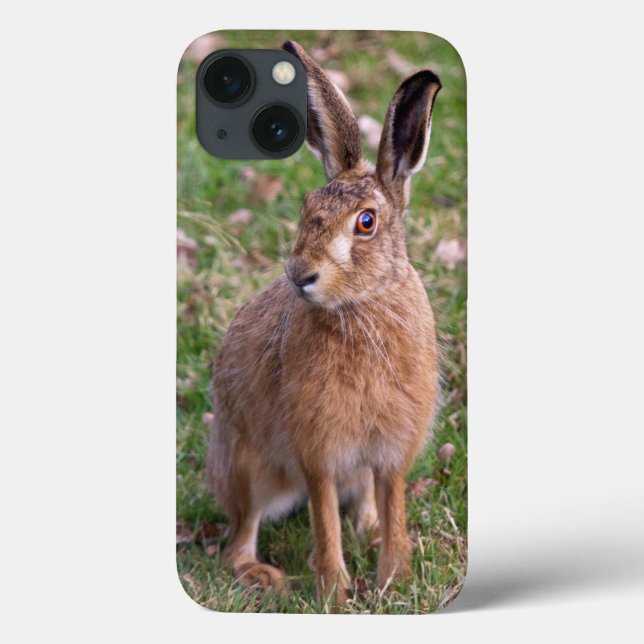 Good Hare Day iPad Mini Case (Back)