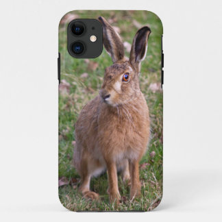 Good Hare Day iPhone 5 Case
