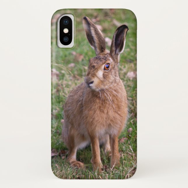 Good Hare Day iPhone X Case (Back)