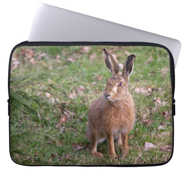 Good Hare Day Laptop Sleeve (Front)
