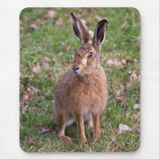Good Hare Day Mousemat Mouse Pad
