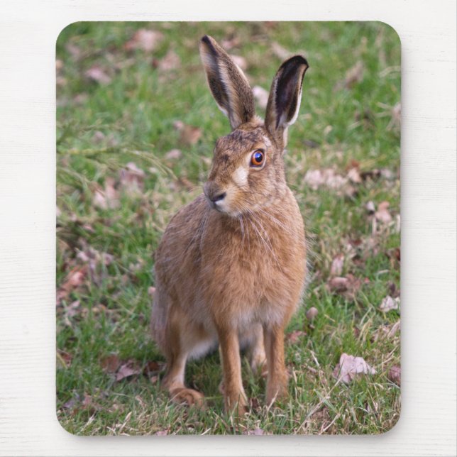 Good Hare Day Mousemat Mouse Pad (Front)