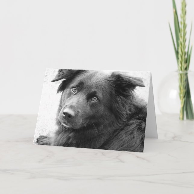 Good Heal Card (Front)