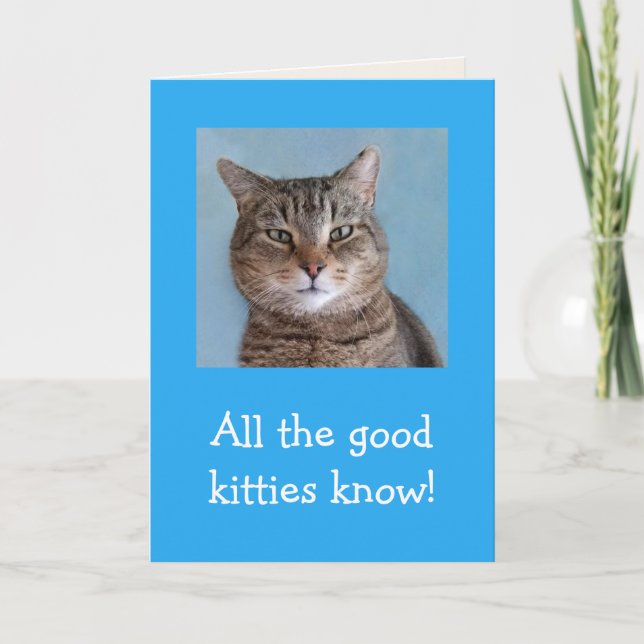 Good Kitties Meowyful Birthday Card (Front)