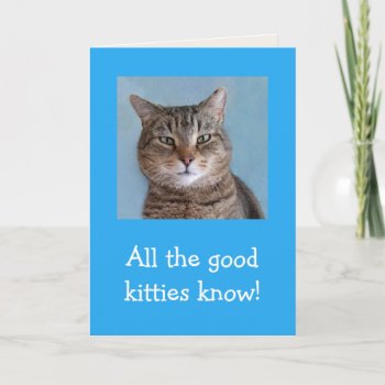 Good Kitties Meowyful Birthday Card by Therupieshop at Zazzle