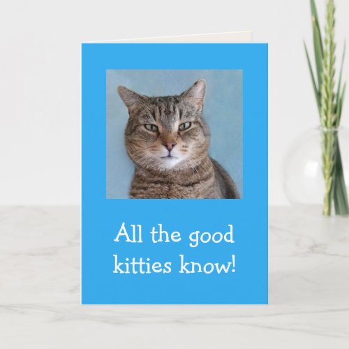 Good Kitties Meowyful Birthday Card